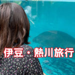 看護師,ブログ,日常,ワニ,熱川,バナナワニ園,マナティ